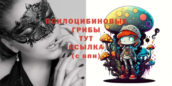 первитин Балахна