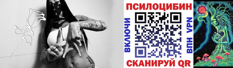 купить Родники blacksprut ссылки Галлюциногенные грибы Cubensis