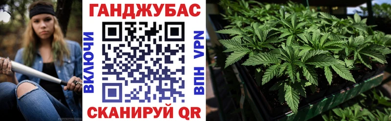 мега маркетплейс  где купить   Родники  Бошки марихуана гибрид 